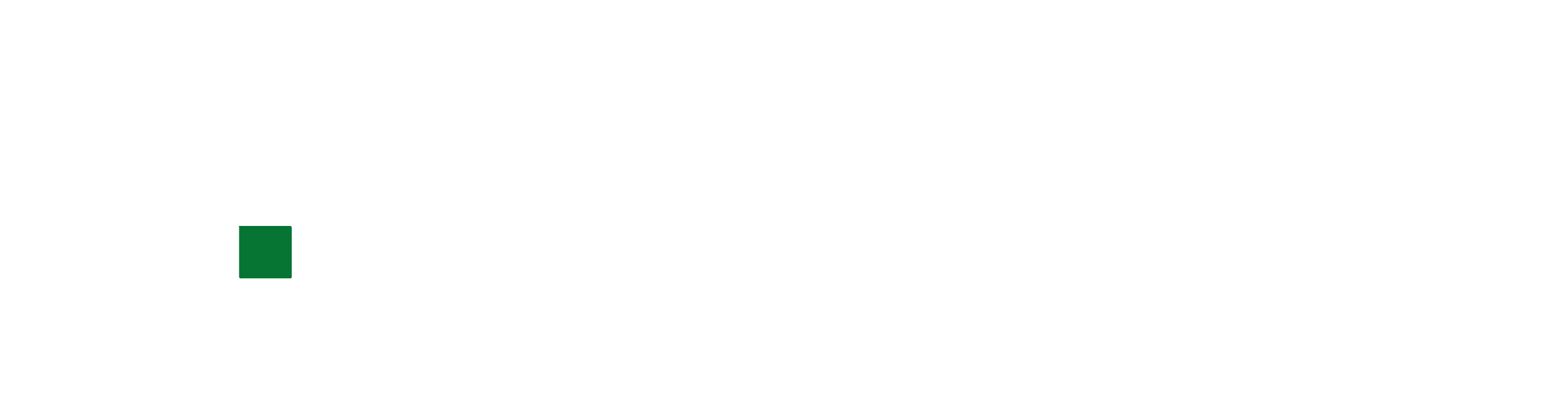 C.FAURIE