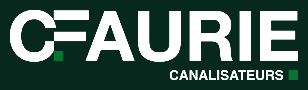 Logo secondaire CANALISATEURS, version blanc, fond vert profond