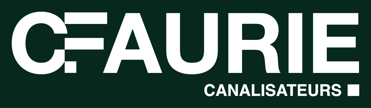 Logo secondaire CANALISATEURS, version tout blanc, fond vert profond
